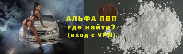 прущие грибы Абинск