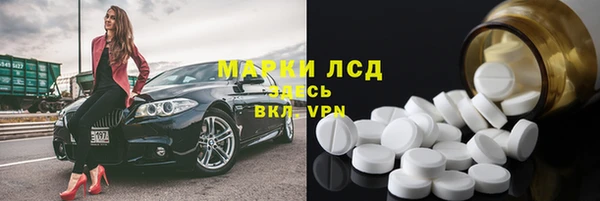 прущие грибы Абинск