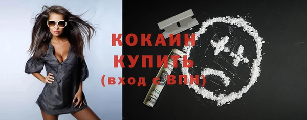 прущие грибы Абинск