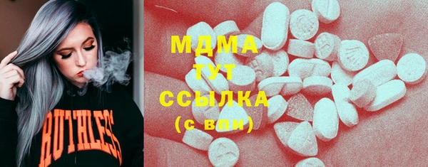 прущие грибы Абинск