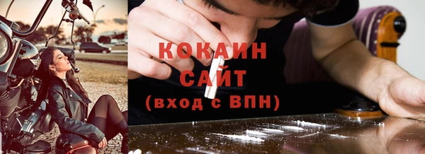 прущие грибы Абинск