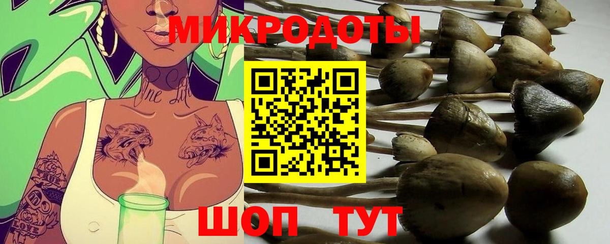 Псилоцибиновые грибы мухоморы Гагарин