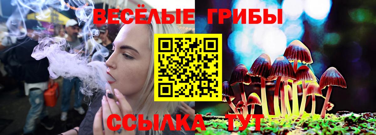 Псилоцибиновые грибы ЛСД  Вход с VPN  Гагарин 