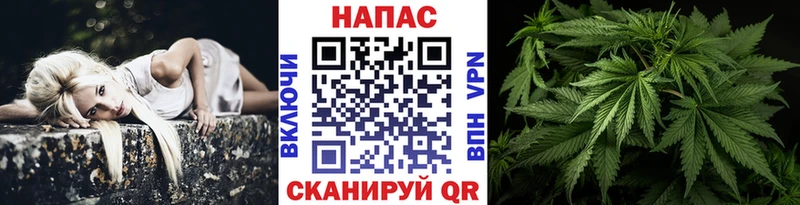 darknet какой сайт Гагарин Каннабис тримм